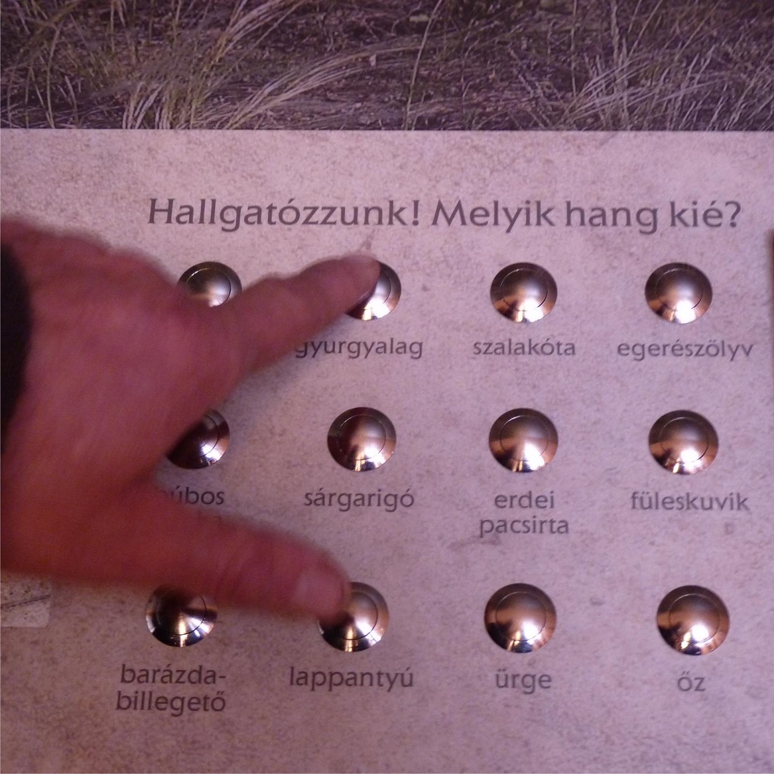 Pannello della parte audio